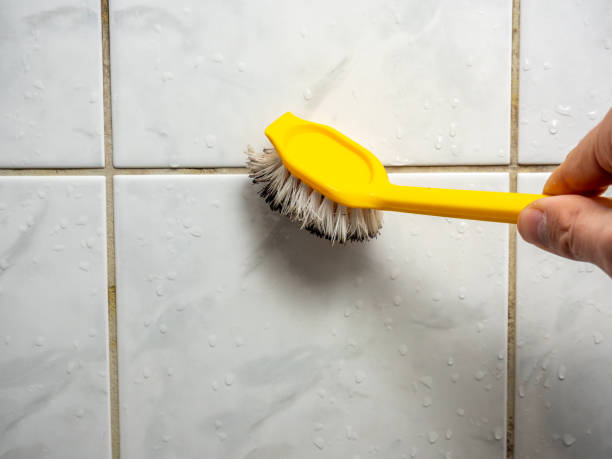 Best Affordable Mold Removal  in Haskell, OK