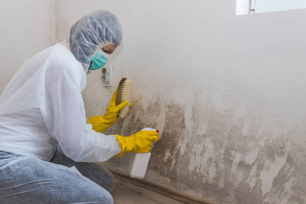 Best Emergency Mold Removal  in Haskell, OK