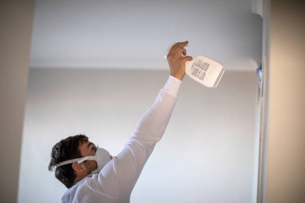 Best Office Mold Removal Services  in Haskell, OK