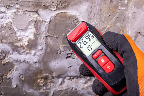 Best Professional Mold Removal  in Haskell, OK