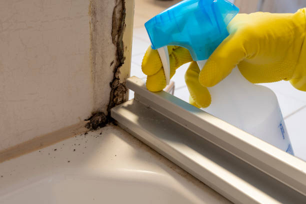 Haskell, OK Mold Removal Company