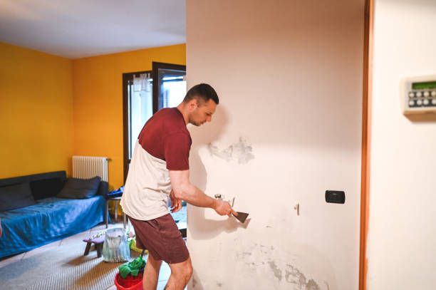 Best Mold Removal Specialists  in Haskell, OK