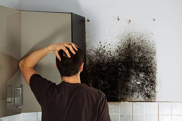 Mold Testing and Removal in Haskell, OK